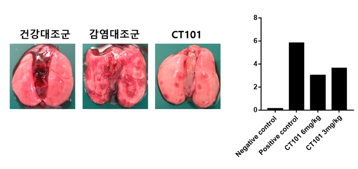 Ct101 국동, 코로나 치료제 'CT101' 동물모델 효력시험에서 치료 효과 확인