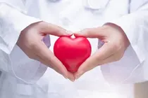 둔부와 대퇴부 지방, 심장 건강에 도움 안돼