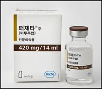 로슈 `허셉틴SC+퍼제타' 안전성 입증...MetaPHER 연구