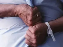 대만연구진 '패혈증' 심장마비와 뇌졸중 위험 높여