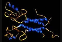 BRCA 유전자 변이 보유 남성, 유방암 100배 높아