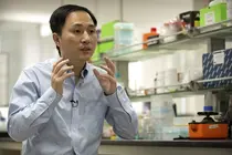 중국서 '유전자 편집' 아이 탄생 주장…비판 커져 