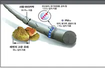 서울아산병원, 미세먼지에 올바르게 대처하기 