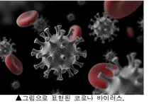 모더나, EU공급 ‘코로나-19’ 백신 일부 회수