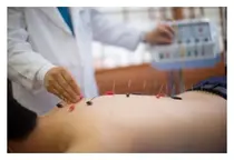 경희대한의과대학 임사비나 교수, 연구결과 통합의학저널 게재