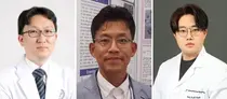 나노기술 새 외상성 뇌손상 치료물질 개발