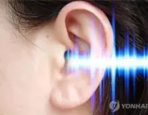 세계, 이명(耳鳴: tinnitus)의 유병률 14% 차지