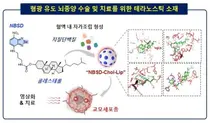 경구투여 빛에 반응해 형광 발산하며 암세포 선택적파괴 신규 물질개발