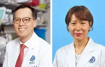 새로운 치료 표적으로 YAP 유전자 확인