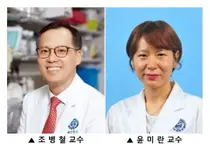 EGFR 폐암 차세대 표적치료제 전임상 확인