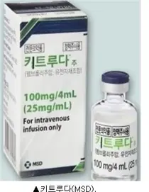 키트루다, 오는 12일 올 첫 암질심 받는다