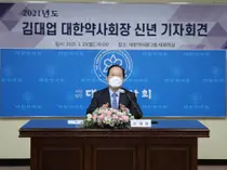 대한약사회, 