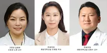 가천대 길병원, 대기오염물질 뇌 위축 시킨다
