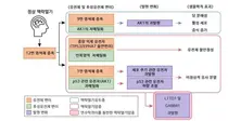 소아 뇌종양 '맥락얼기종양’ 유전자 규명