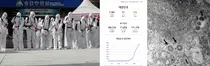 클로로퀸 국내 임상 중단?…신풍, 피라맥스는 진행 