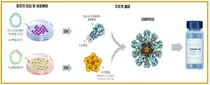 식약처, SK바이오 코로나 백신 임상3상 승인…국산 최초 