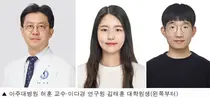 새 AXL 억제제, 위암치료 높이는 방법 제시