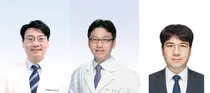 분당서울대병원, HER2 양성 위암 표적치료제 병용요법 시너지 효과 입증