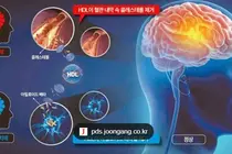 콜린, 첫 임상재평가…목표 미충족에도 '인지' 개선 확인