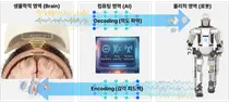 서울대병원, ‘양방향 Brain-to-Robot’ 뇌 칩 이식 임상 총괄