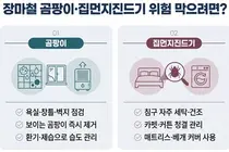 장마철 습도가 키우는 곰팡이·집먼지진드기… 알레르기비염·천식 주의