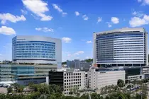 세브란스병원, AI 기반 파킨슨병 세포치료제 평가 플랫폼 개발