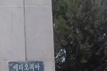 저소득국가 환자 진료비 개선해야 국제클리닉 수가 차등화 필요