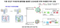 서울대병원·성균관대, 면역세포 유입 순서에 따른 교모세포종 치료 반응 규명