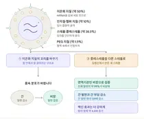 간 독성 잡고 면역 효과 높인 차세대 mRNA 백신 전달체 개발

