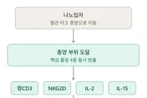 서울대병원-독일 본대학병원, 나노기술로 암 면역치료 부작용 줄이고 효과 높일 전략 제시