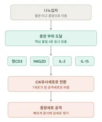 서울대병원-독일 본대학병원, 나노기술로 암 면역치료 부작용 줄이고 효과 높일 전략 제시