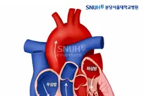 분당서울대병원 순환기내과 황인창·박지석 교수 연구팀