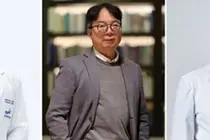 탈모 치료의 새로운 가능성…'자가치유 하이드로젤'로 모낭 재생 기술 개발