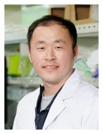 노화세포 제거 생체 재생물질 개발