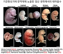 바른의료연구소, 난임 관련 국회토론회 한의협 대표 발언 관련 성명