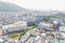 대구가대병원, 심평원 4대암 적정성 평가 모두 1등급