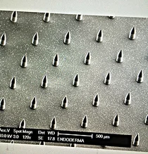 엔도더마, 주사의 공포와 고통 없는 패치형 백신 개발 착수