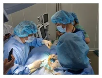 국립암센터, 사지절단 임플란트 개발연구 동물실험 우수구연상 금상 수상