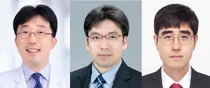 '선천망막질환' 바이러스 대신 단백질로 유전자 교정