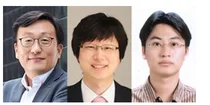 몸 면역 담당, T세포 아형·발달경로 규명