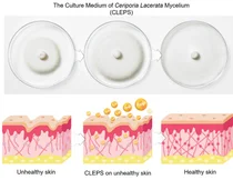 퓨젠바이오, '세리포리아 락세라타' 항노화 코스메슈티컬 효능 입증