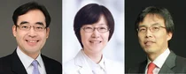 서울대병원, 효과적인 간암 감시 검사 가능성 제시