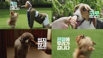 유한양행, '윌로펫' 신규 TV광고 시작