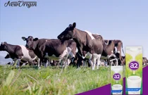 “소는 초지서 자라야