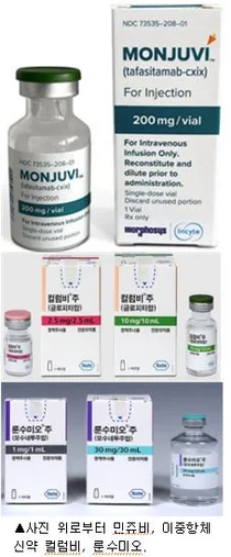 글로벌 제약사 '림프종' 타깃 적응증 확대 박차