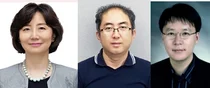 혈액검사로 경도 인지장애 치매 가능 예측