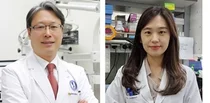 고형암 항암제로 인한 난청, 예방하는 새 기전 규명