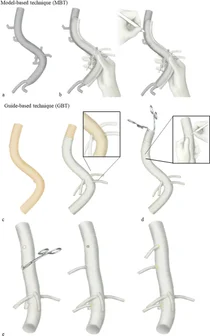 애니메디솔루션, 사이언티픽 리포트에 논문 게재