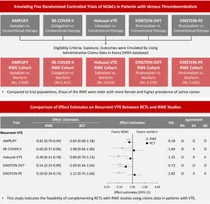 비타민K, 항응고제 유효성 임상 BMC Medicine 게재