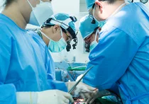 이대서울병원, 개원 4년 만에 심장이식 수술 시행